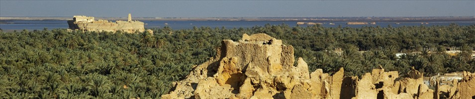Siwa